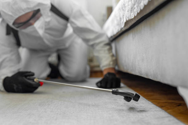 Professional Termite Control technician working in Lowell, AR