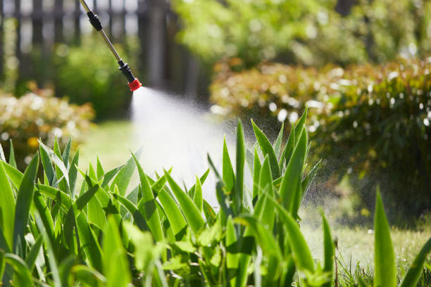 24/7 Emergency Termite Control experts in Lowell, AR