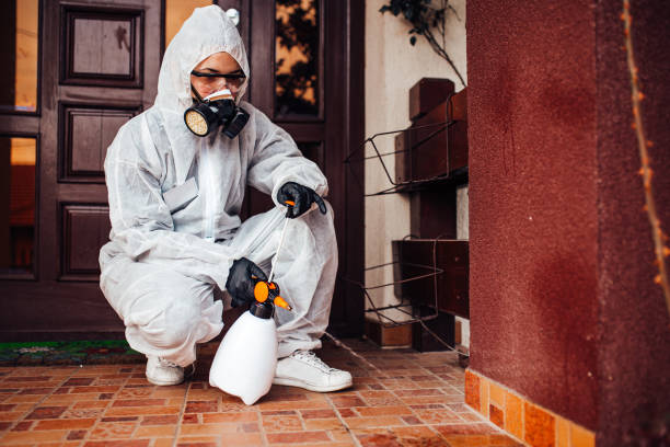 Reliable Termite Control contractor in Lowell, AR by Nex Pest Control