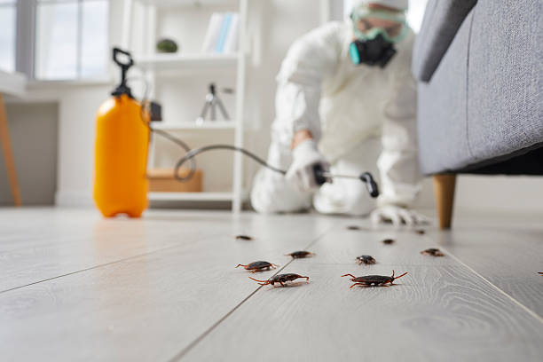 Trusted Termite Control service in Lowell, AR - Nex Pest Control