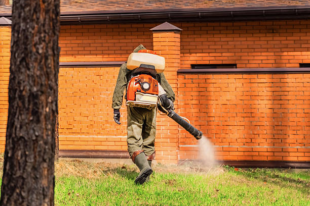 Trusted Ant Control service in Lowell, AR - Nex Pest Control
